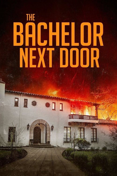Movie poster for The Bachelor Next Door (2017)