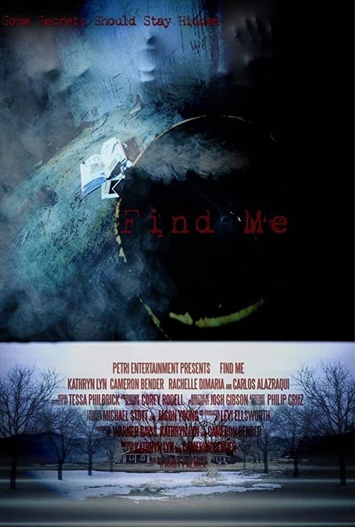 Movie poster for Find Me (2014)