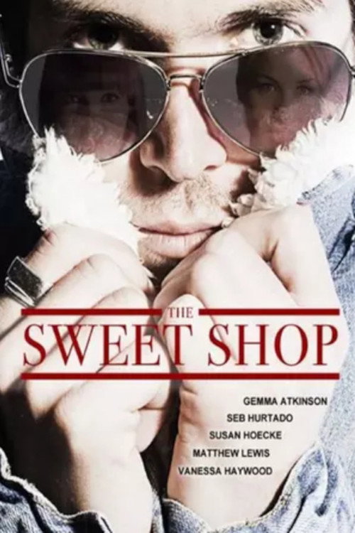 Movie poster for The Sweet Shop (2013)