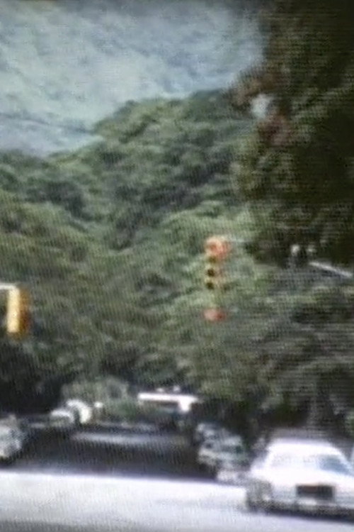 Movie poster for Se alquila ciudad (1981)