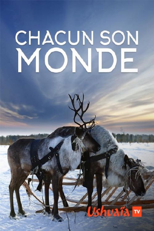 Movie poster for Chacun son monde Haïti (2020)