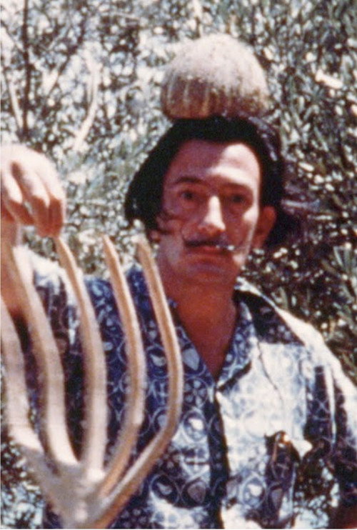 Movie poster for Salvador Dalí Home Movie (1954)