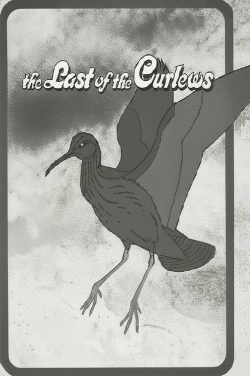 Movie poster for The Last of the Curlews (1972)
