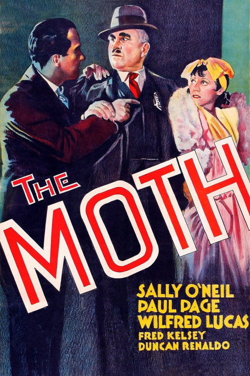 Movie poster for The Moth (1934)