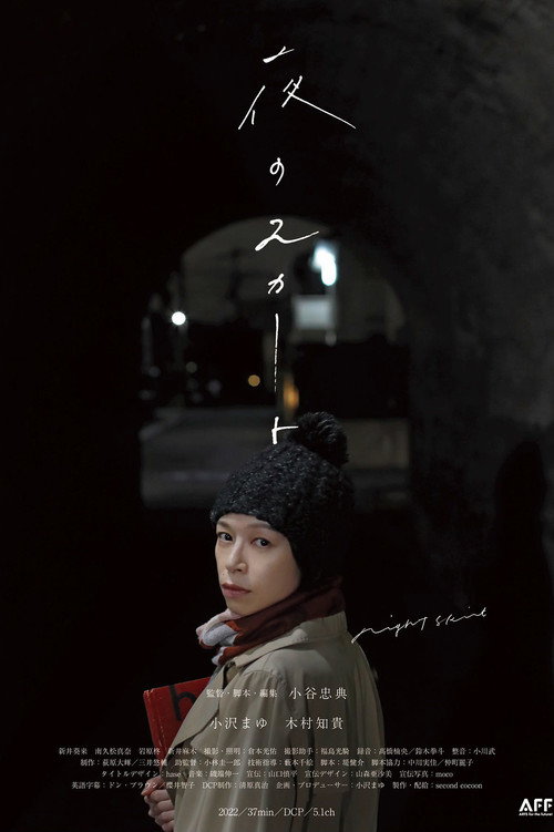 Movie poster for Night Skirt (2022)