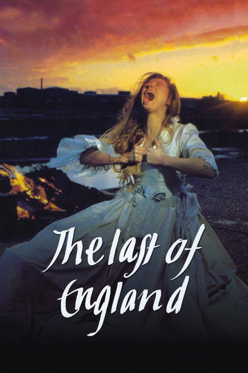 Movie poster for The Last of England (1987)