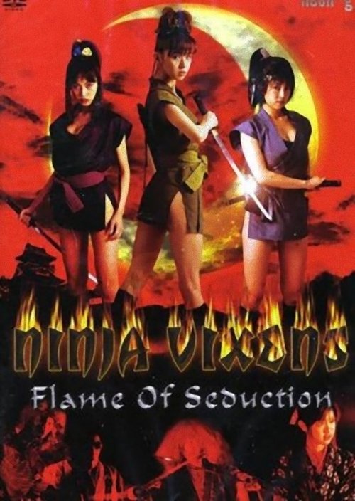 Movie poster for Ninja Vixens: Flame of Seduction (2002)