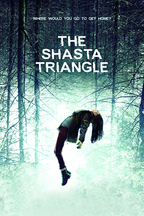 Movie poster for The Shasta Triangle (2019)