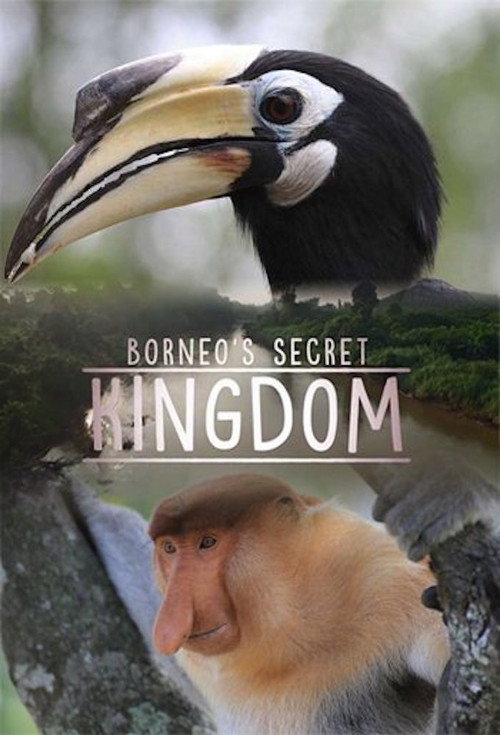 Series poster for Borneo's Secret Kingdom (2017)