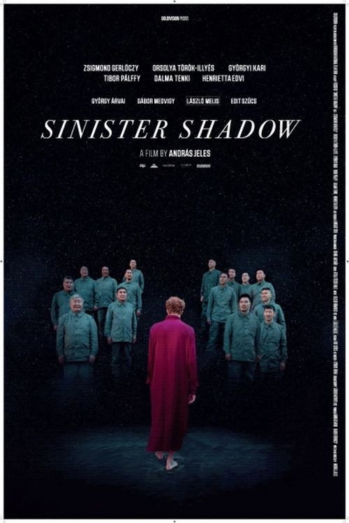 Movie poster for Sinister Shadow (2018)