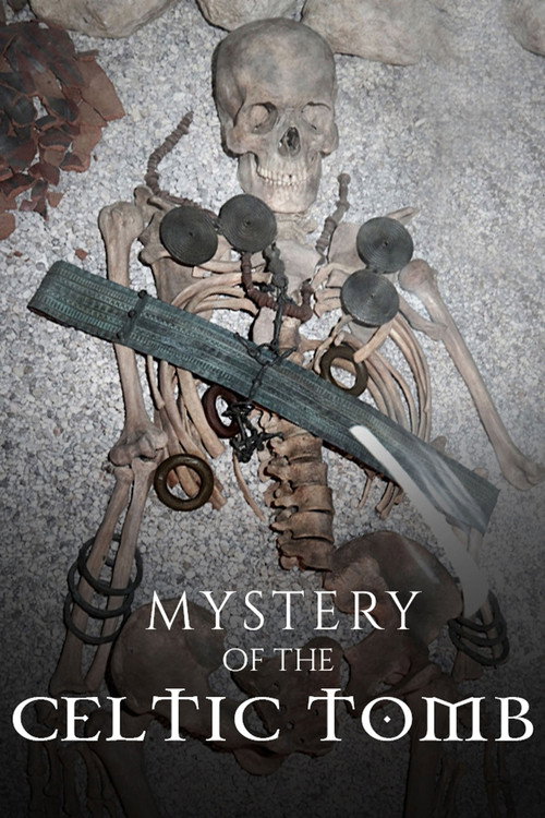 Movie poster for Mystery of the Celtic Tomb (2019)