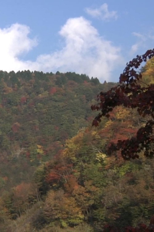 Movie poster for Autumn Leaves Exploration (2010)