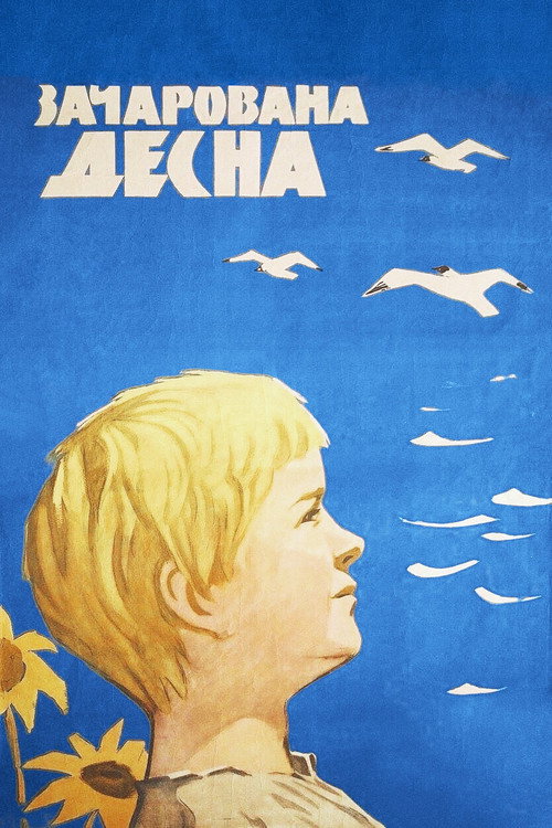 Movie poster for The Enchanted Desna (1964)