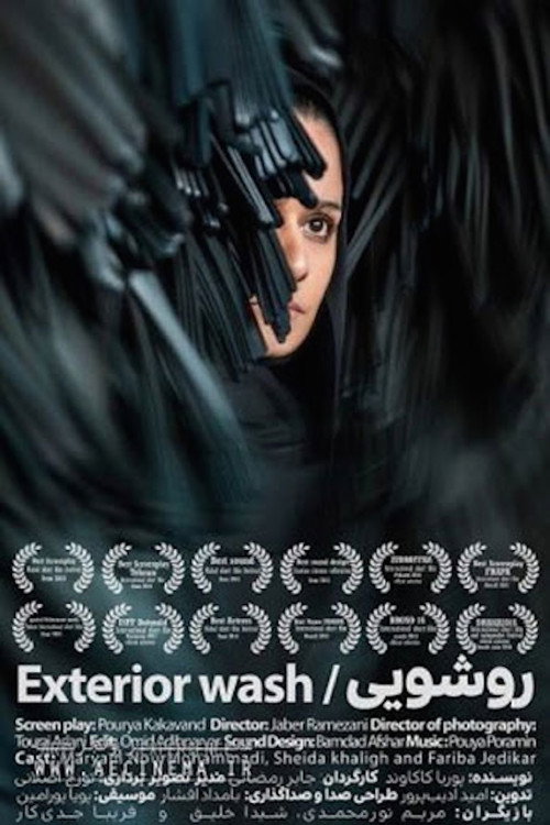 Movie poster for Exterior Wash (2019)