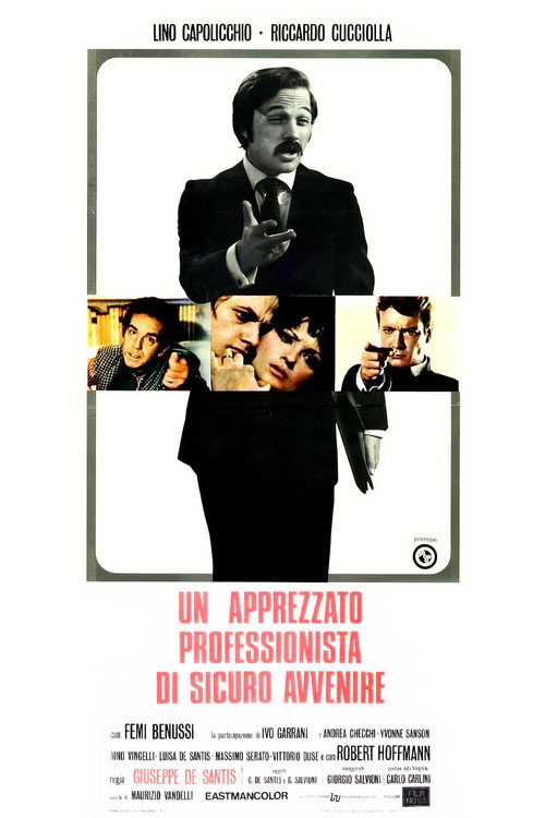 Movie poster for One Appreciated Professional of Sure Future (1972)