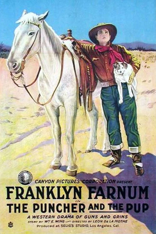 Movie poster for The Puncher and the Pup (1919)
