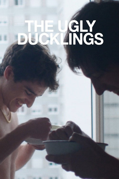 Movie poster for The Ugly Ducklings (2021)