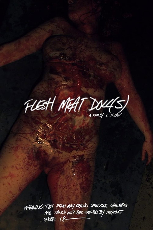 Movie poster for Flesh Meat Doll(S) (2016)