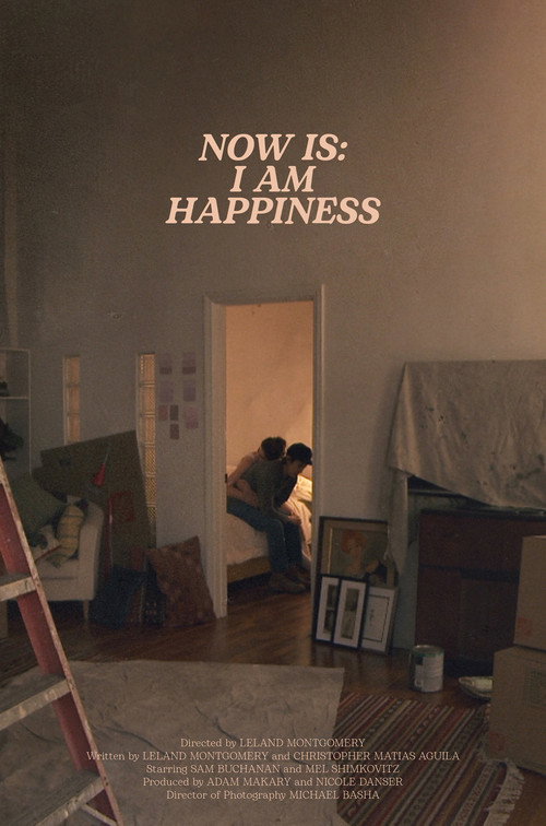 Movie poster for Now Is: I am Happiness (2016)