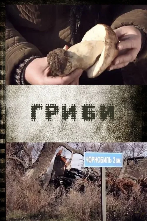 Movie poster for Mushrooms (2012)