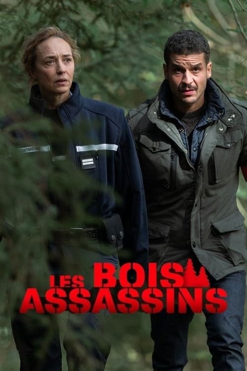 Movie poster for Les Bois assassins (2024)