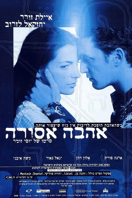 Movie poster for The Dybbuk of the Holy Apple Field (1997)