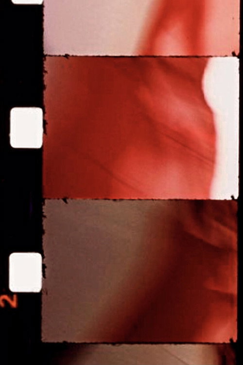 Movie poster for Le Drapeau de l'étoile (1989)
