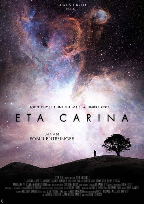 Movie poster for Eta Carina (2014)