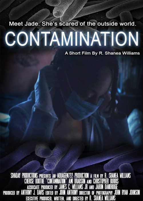 Movie poster for Contamination (2013)