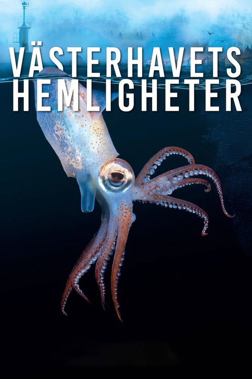 Movie poster for Västerhavets Hemligheter (2024)