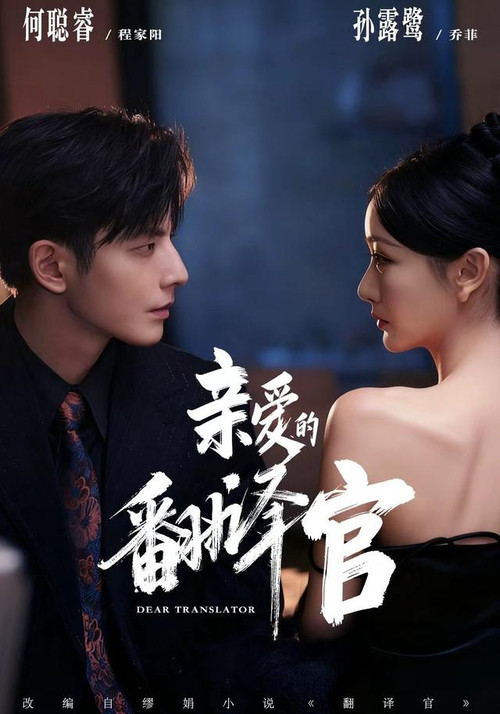 亲爱的翻译官 poster