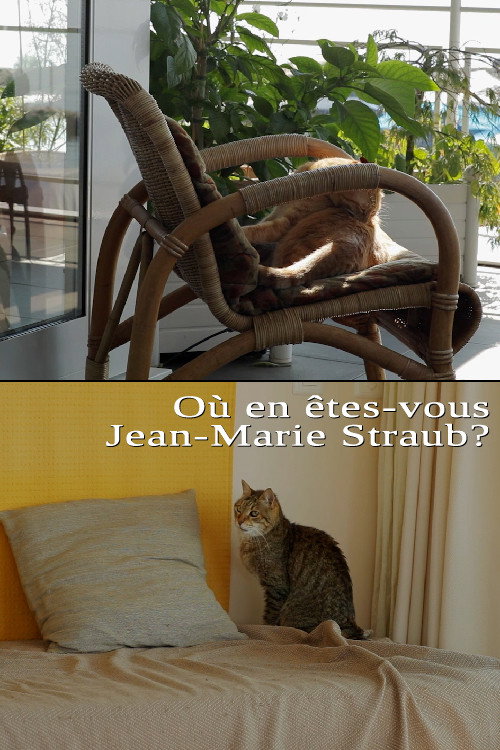 Movie poster for Où en êtes-vous, Jean-Marie Straub ? (2016)