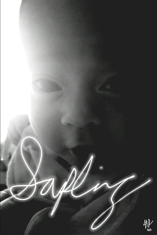 Movie poster for Sapling