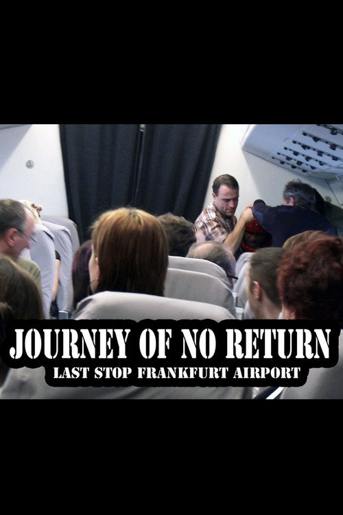 Movie poster for Journey of No Return (2010)