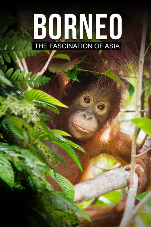 Movie poster for Borneo: The Fascination of Asia (2017)