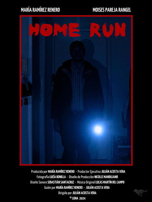 Movie poster for Home run (2024)