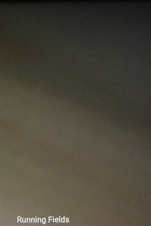 Movie poster for Running Fields (2024)