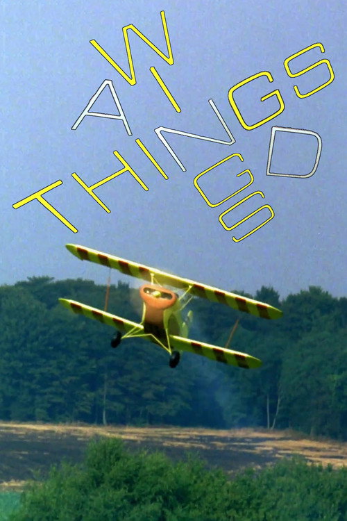 Movie poster for Wings and Things (1973)