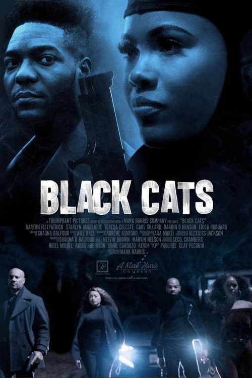 Movie poster for Black Cats (2025)