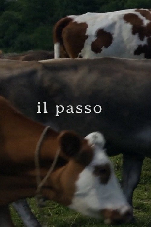 Movie poster for Il passo (2016)