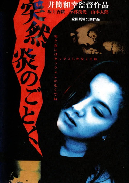 Movie poster for Tsutsumi honoo no gotoku (1994)