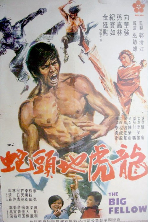 Movie poster for The Big Fellow (1973)