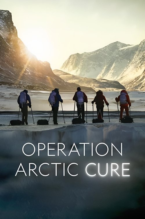 Movie poster for Operation Arctic Cure (2024)
