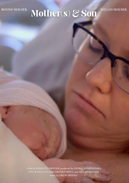 Mother(s) & Son poster