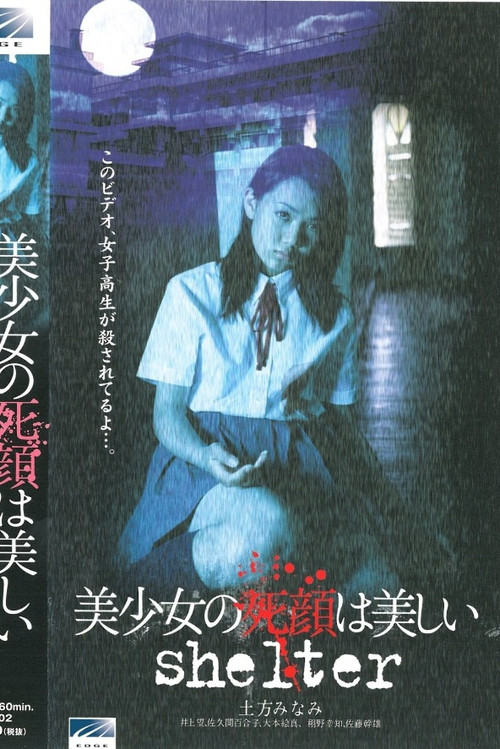 Movie poster for The Beautiful Dead Face of a Pretty Girl: shelter (2002)