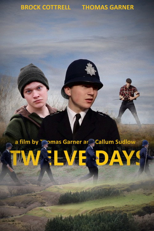 Movie poster for Twelve Days (2023)