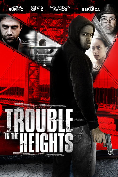 Movie poster for Trouble in the Heights (2011)