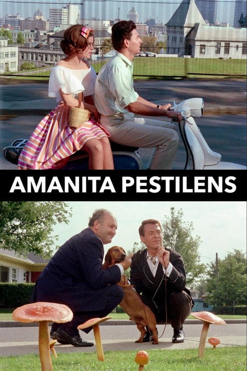Movie poster for Amanita Pestilens (1973)