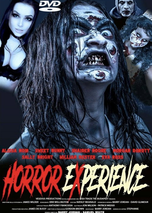 Movie poster for Horror Experience (2023)