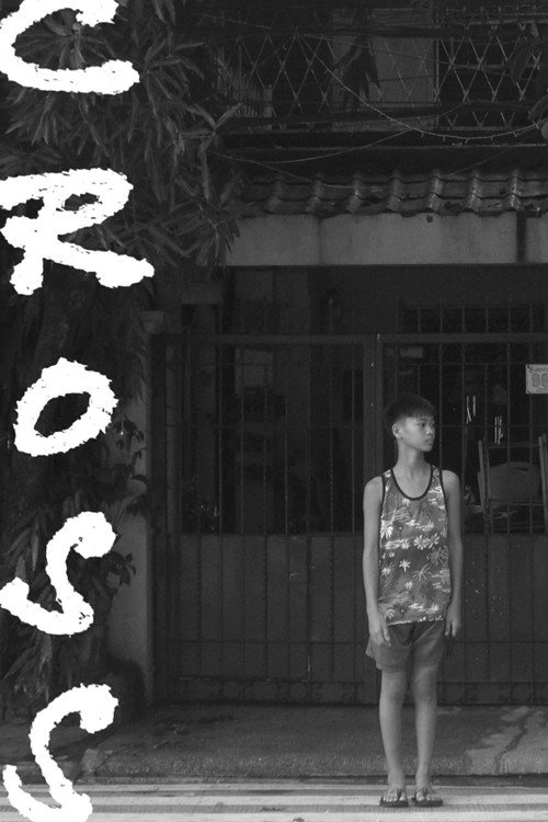Movie poster for CROSS (2025)